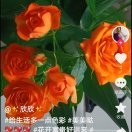 美好时光9r9海报