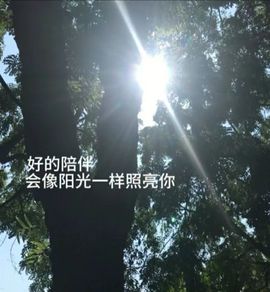 新人宛媛求守护主播照片