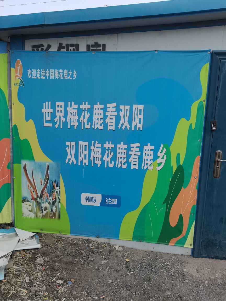 💕靖麒💕鹿产品的主播图片