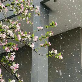 情❤️深❤️主播照片
