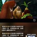 帅毅2