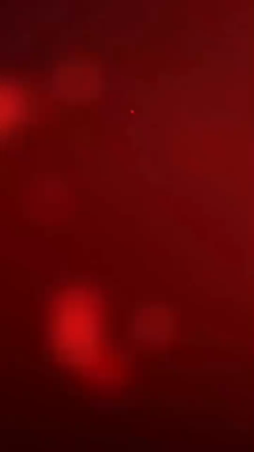 ㊗️大家假日快乐