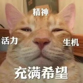 抱抱馨💌主播照片
