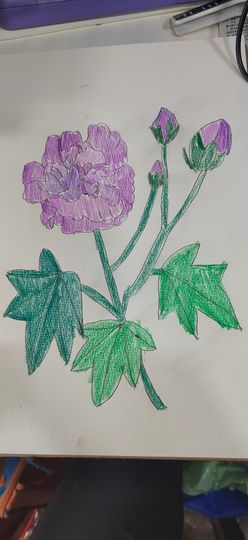钟铃tina主播照片