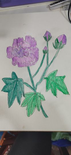 钟铃tina主播照片