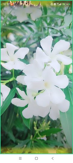 婷婷💕求过月底任务主播照片