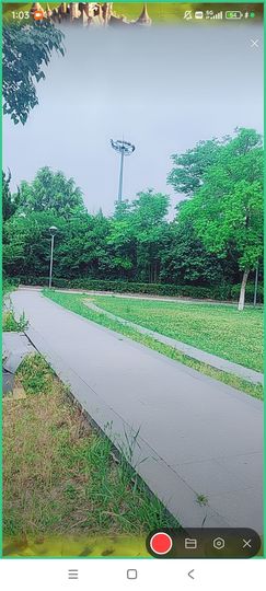 婷婷💕求过月底任务主播照片