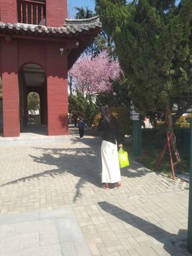 冲妮而来的图片