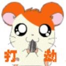 淡淡的^0^忧伤