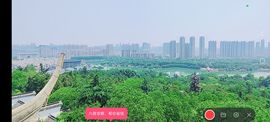 婷婷💕感恩有你陪伴的图片