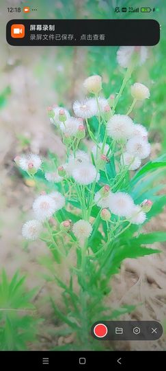 婷婷💕求过月底任务主播照片