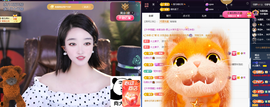 窦窦，家里有事休息了主播照片