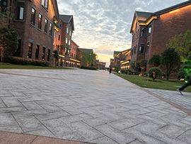 清风徐来，清莹竹马的图片
