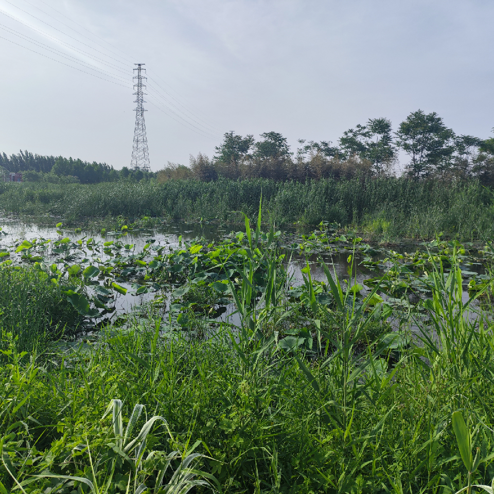 此账号已注销海报