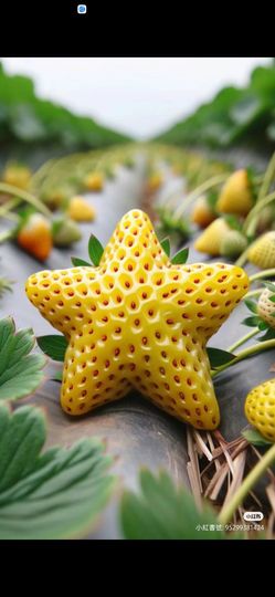鸭鸭💞嗓疼不叭叭的图片