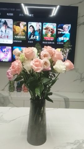 一只柠也想有人疼主播照片