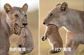 ღ娜娜ぃ感冒不舒服休的图片