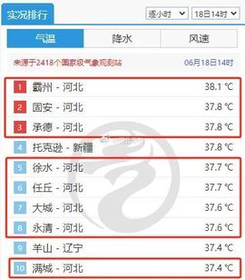 2025不好过主播照片