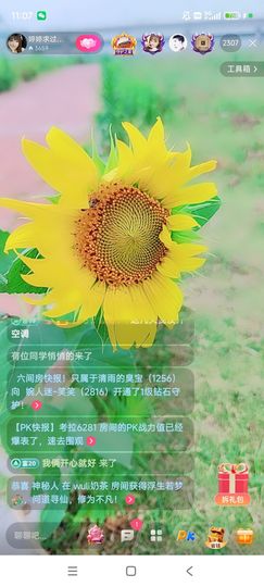婷婷💕感恩有你陪伴主播照片
