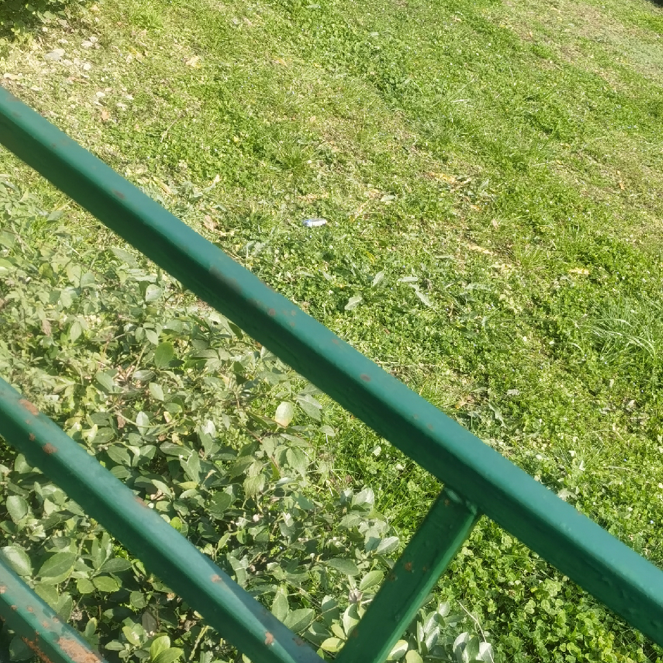 回不去了mn海报