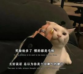 知我不言💋💋的图片