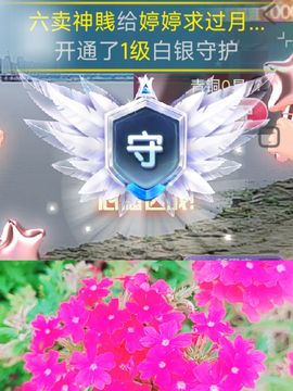 婷婷💕感恩有你陪伴主播照片