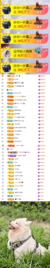 陈慧慧🥕早9晚8主播照片