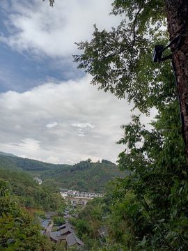 川浪浪的图片