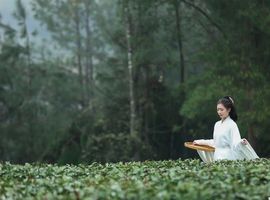 新人月儿求带主播照片