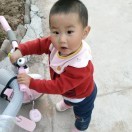 刘凤华1316048的头像