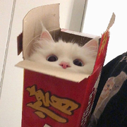 宵宵xox