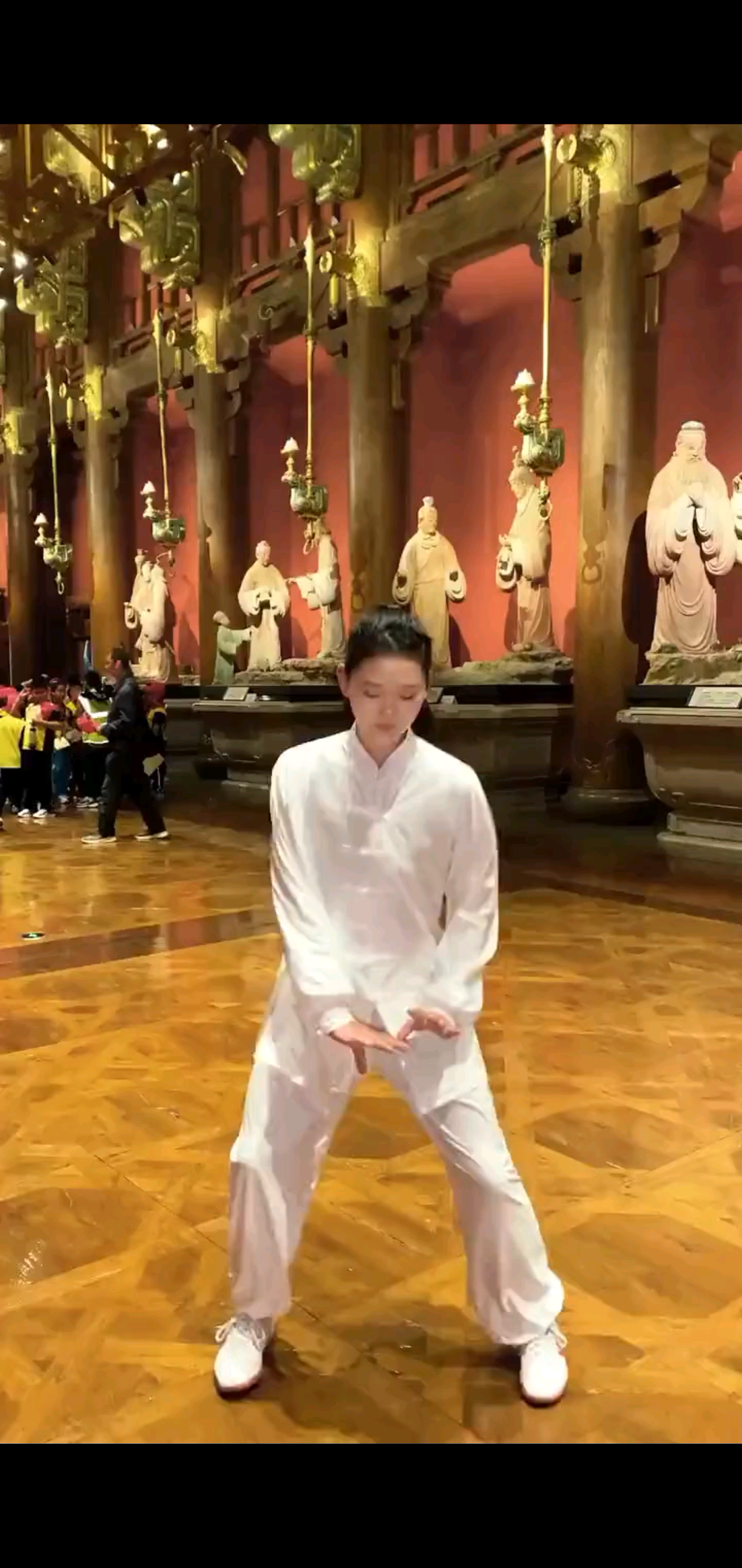 太極四十八式_以柔克剛