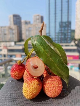 酷ღ喵的图片