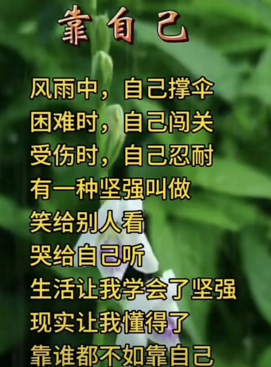 一人沉默的主播照片