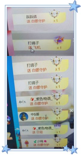 海鸽晚上见主播照片