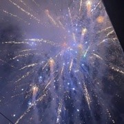 不刷别问