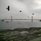 人海情缘g