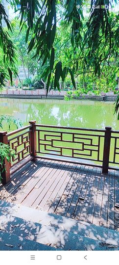 婷婷💕感恩有你陪伴主播照片