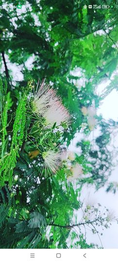 婷婷💕感恩有你陪伴主播照片