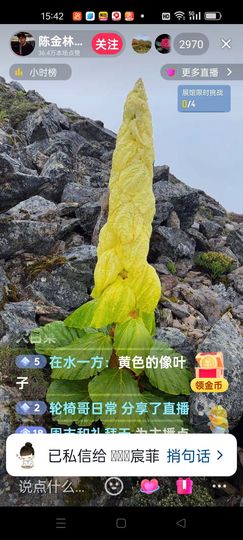 无聊听歌🍀蛇年好运主播照片