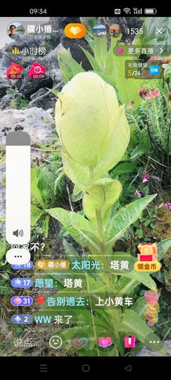 无聊听歌🍀蛇年好运主播照片