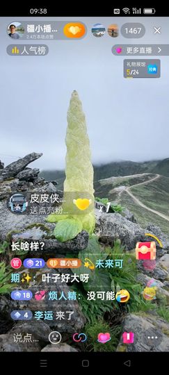 无聊听歌🍀蛇年好运主播照片