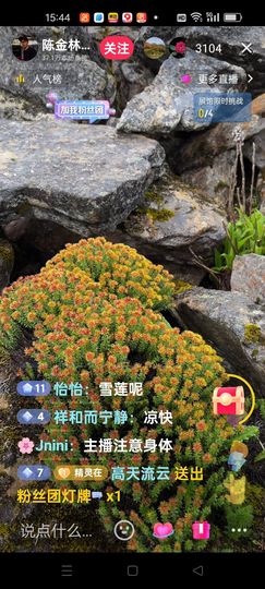无聊听歌🍀蛇年好运主播照片