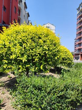 无聊听歌🍀蛇年好运主播照片