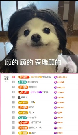 抱抱馨💌今晚休。主播照片