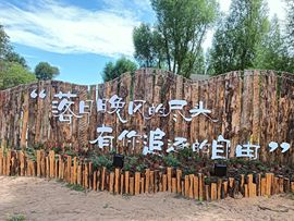 ᰔᩚ.显眼包主播照片