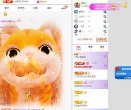 小雅兮手机不定时开播主播照片