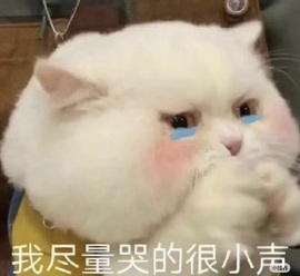 🎈汐不汐🌴的图片