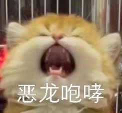 洁儿宝宝~主播照片
