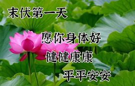 September★主播照片